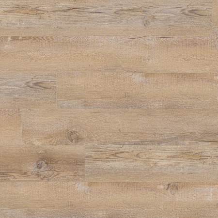 Ackland Brushwood 7" x 48" Smooth Vinyl Flooring with Low Gloss - Sold by Carton (39.52 SF/Carton) Anela Beige