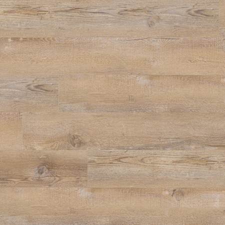 Ackland Brushwood 7" x 48" Smooth Vinyl Flooring with Low Gloss - Sold by Pallet (1976 SF/Pallet) Anela Beige