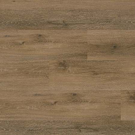 Ackland Elorie Auburn Valley 9 in. x 48 in. 2mm 12mil Glue Down Luxury Vinyl Plank Flooring - Sold by Carton (54 SF/Carton) Auburn Valley