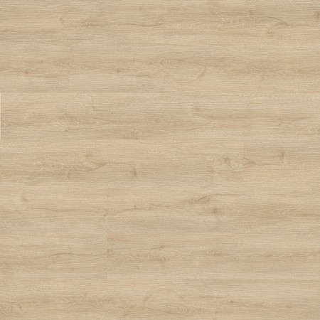 Ackland Sample Only of AKVRC9X48-5020-SM Frosty Fir