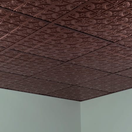 Alternate Image
