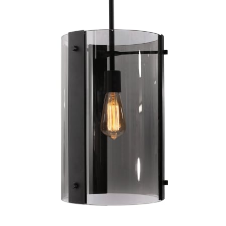 AFX Pendant 10" Wide Mini Pendant with Smoke Glass Shade Black