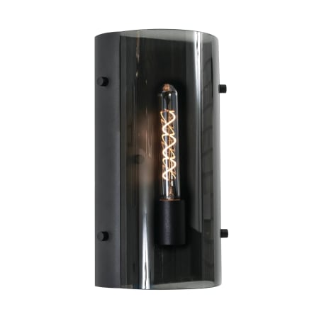 AFX Sconce 14" Tall Wall Sconce with Smoke Glass Shade Black