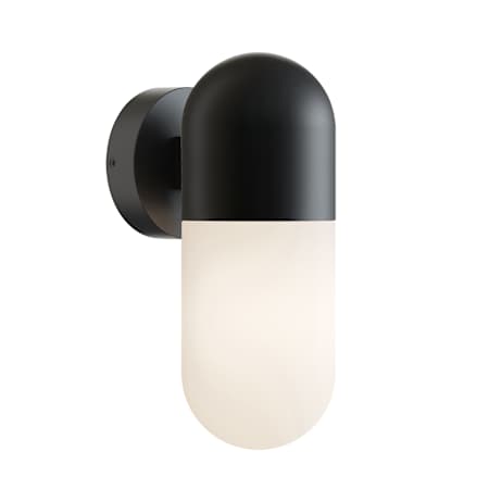 AFX Irvine 12" Tall LED Outdoor Wall Sconce with Frosted Glass Shade Black