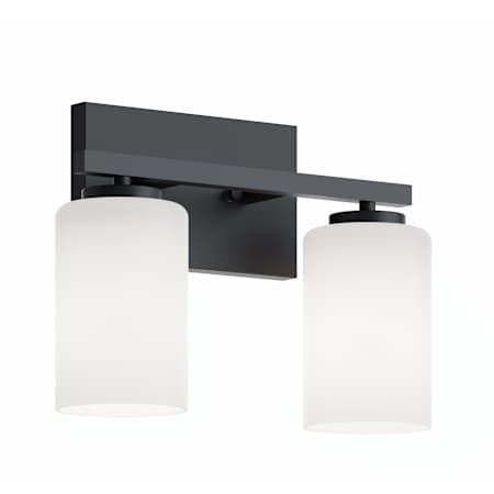 AFX Leo 2 Light 13" Wide Vanity Light with Frosted Glass Shades Black