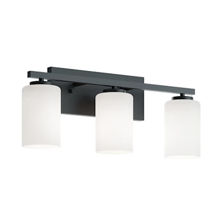 AFX Leo 3 Light 22" Wide Vanity Light with Frosted Glass Shades Black