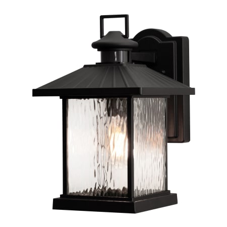 AFX Lennon 12" Tall Outdoor Wall Sconce with Water Glass Shade Black