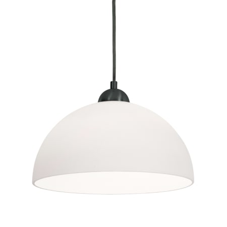 AFX Otis 12" Wide Pendant with Frosted Glass Shade Black
