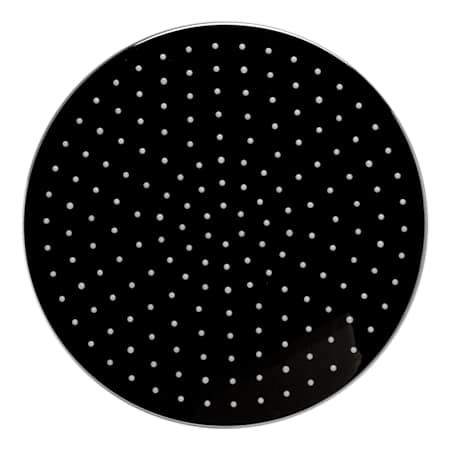 Alternate Image