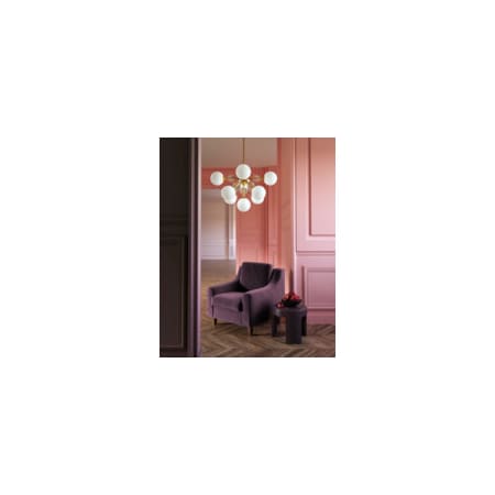 Alternate Image