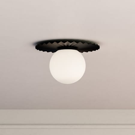 Alternate Image