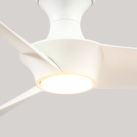 Alternate Image