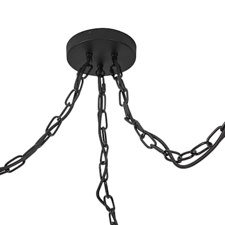 Alternate Image