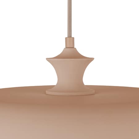 Alternate Image