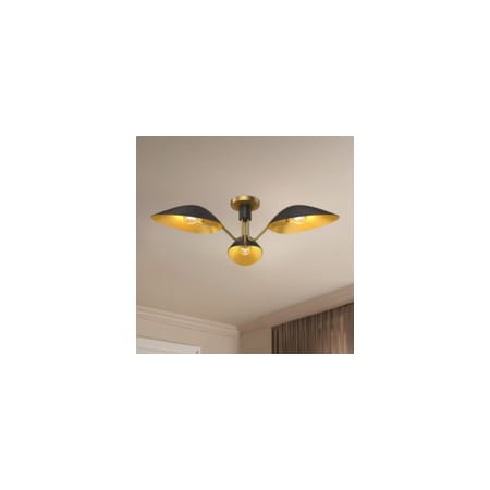 Alternate Image