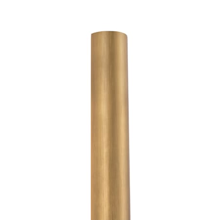 Alternate Image