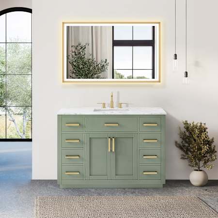 Altair Ivy 48" Free Standing Single Basin Vanity Set with Cabinet and Marble Vanity Top Vintage Green