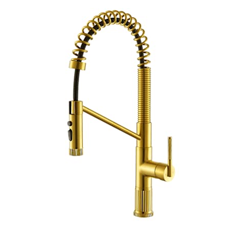 Altair Nette 1.8 GPM Single Hole Pre-Rinse Pull Down Kitchen Faucet Brushed Gold