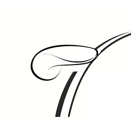 American Standard TRIP LEV ASSY-RIGHT HAND-45 D- 4029/4072 White