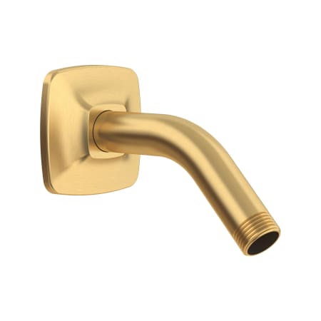American Standard Townsend Shower Arm and Flange Brushed Cool Sunrise