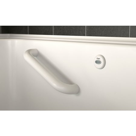 American Standard-2848.309.WL-Lifestyle View