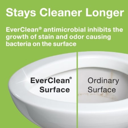 American Standard-2876.016-B-EverClean Technology