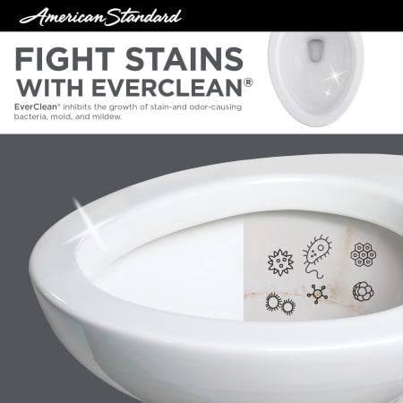 EverClean Surface