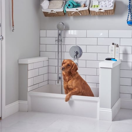 American Standard-MSB3624-Dog Bath Time