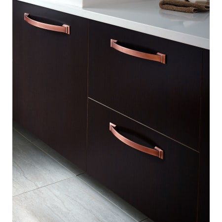 Amerock-1906895-Alternate View