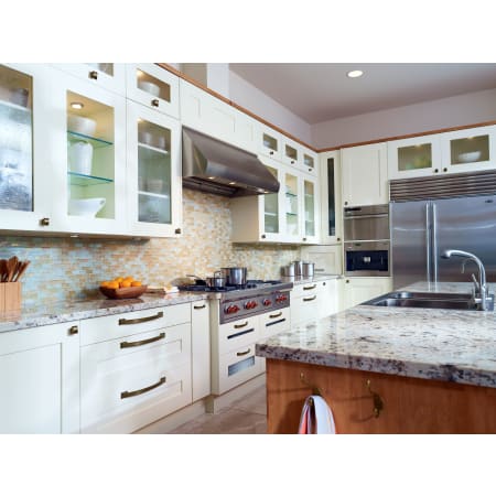 Amerock-1906895-Alternate View