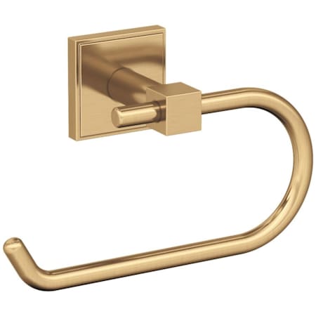Amerock Appoint Wall Mounted Toilet Paper Holder Champagne Bronze