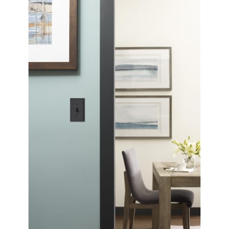 Amerock-BP36514-Black Bronze in Doorway