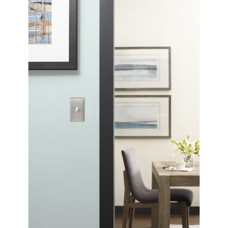 Amerock-BP36514-Satin Nickel on Doorway