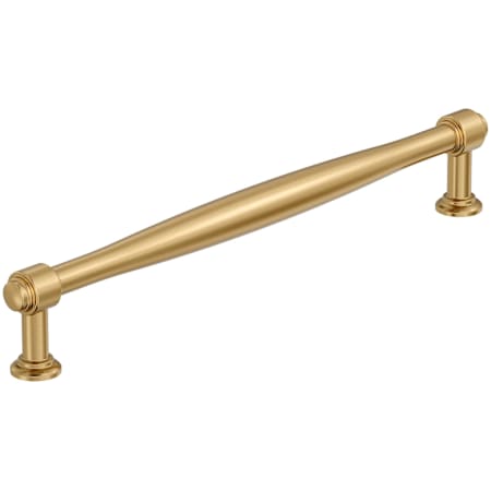 Amerock Enlivity 12 Inch Center to Center Appliance Pull Champagne Bronze