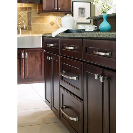 Amerock-BP55340-25PACK-Alternate View