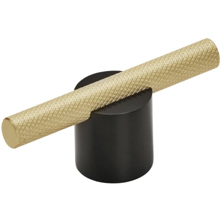 Matte Black / Matte Gold