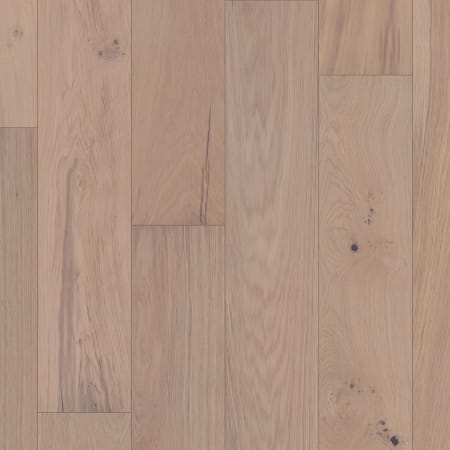 Anderson Tuftex Sample Only of AA839 Croissant