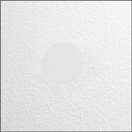 Alternate Image