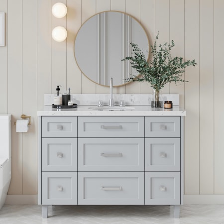 Ariel Monroe 48-1/4" Free Standing Single Basin Vanity Set with Cabinet and Quartz Vanity Top Grey