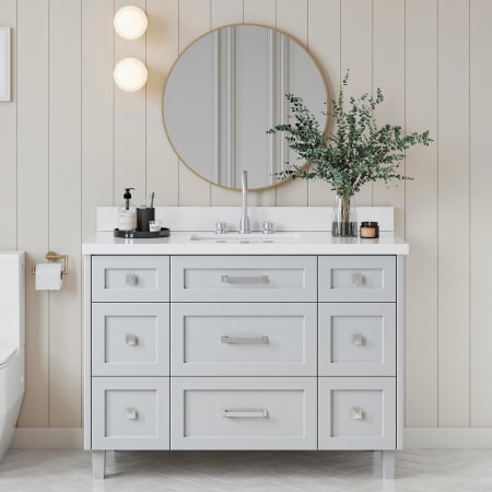 Ariel Monroe 48" Free Standing Single Basin Vanity Set with Cabinet and Quartz Vanity Top Grey