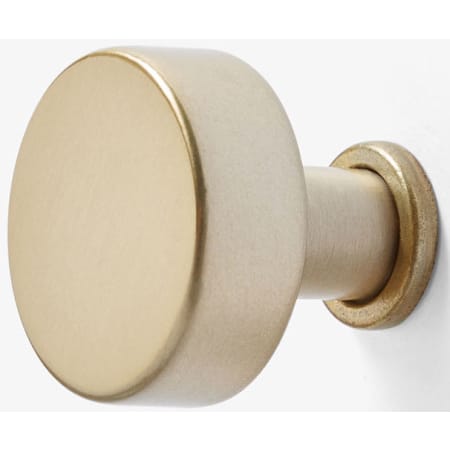 Ariel Newbury 1-1/4 Inch Mushroom Cabinet Knob Satin Brass