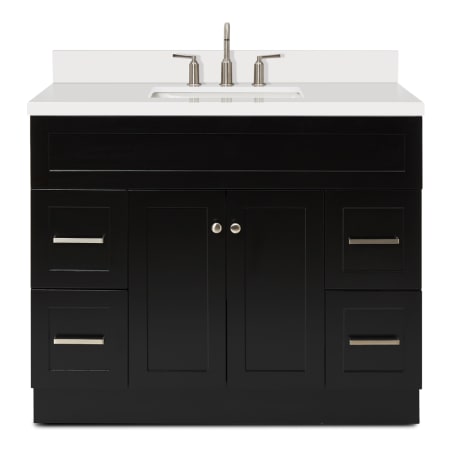 Ariel Hamlet 42" Free Standing Single Basin Vanity Set with Cabinet and Quartz Vanity Top Black