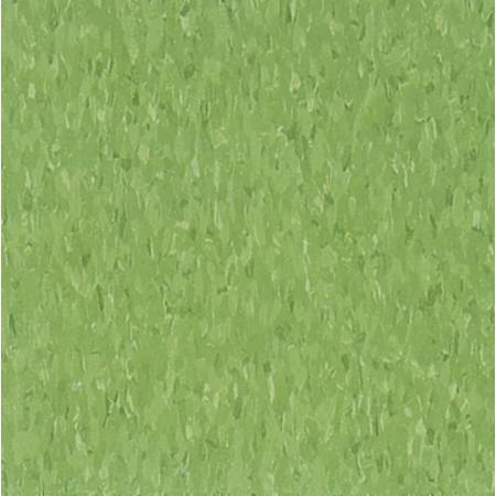 Armstrong Flooring Imperial Texture 12" x 12" Smooth Vinyl Flooring with High Gloss - Sold by Carton (45 SF/Carton) Little Green Apple