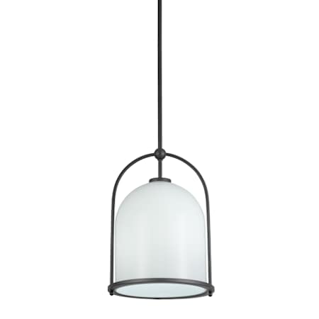 Artcraft Lighting Dahlia 12" Wide Pendant Black