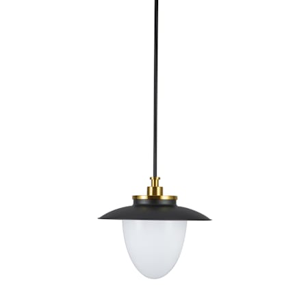 Artcraft Lighting Dahlia 15" Wide Pendant Black / Brass