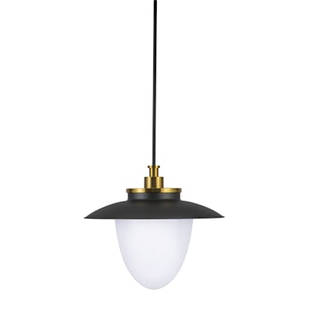 Artcraft Lighting Dahlia 3 Light 20" Wide Pendant Black / Brushed Brass
