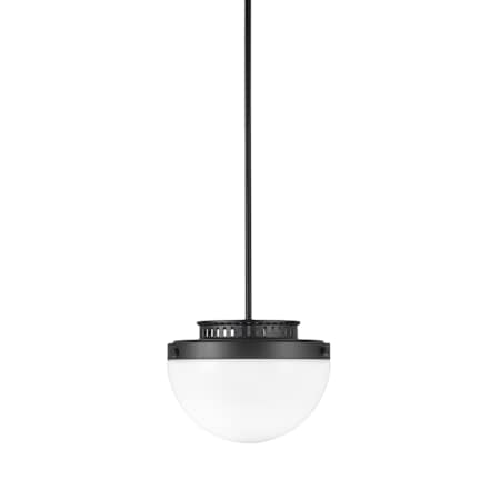 Artcraft Lighting Dahlia 12" Wide Pendant Black