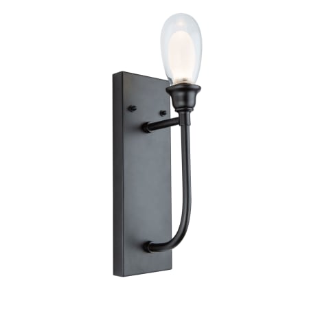 Artcraft Lighting Bimini 17" Tall LED Wall Sconce with Clear Glass and Frosted Glass Shades Black