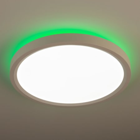 Alternate Image