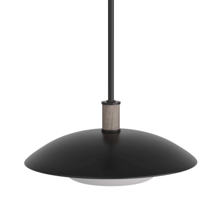 Arteriors 17" Wide Pendant Blackened Iron